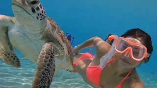 My island life in Curaçao. Playing, friends, swimming and concerts