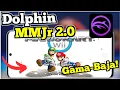MAXIMIZE DOLPHIN 2 0 VBI PERFORMANCE WITH THESE SETTINGS MID-LOW RANGE 2024