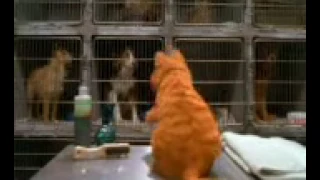  cat garfild bangla dubbing 