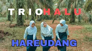 Download HAREUDANG | DJ KENTRUNG (Nestapa) | KALIA SISKA ft SKA 86  | PARODI TRIO HALU (MV COVER) MP3