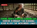 Download Lagu TEGA‼️ Ibu Dikurung di Kandang Sapi, Allah Azab Kontan Lelaki Ini‼️ SEBARKAN KISAHNYA!