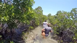 Secret Spring in Bimini