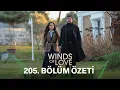 Lagu Rüzgarlı Tepe 205. Bölüm Özeti | Winds of Love Episode 205 Recap (Eng Sub)
