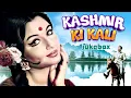 Download Lagu Kashmir ki kali Songs 4k | Mohd Rafi Asha Bhosle Song | Shammi Kapoor, Sharmila Tagore | Old Songs