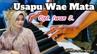 Download Usapu Wae Mata Cover Electone Cipt. Iwan S MP3