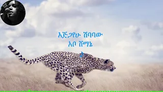 እጅጋየሁ ሽባባው ጂጂ አቦ ሸማኔ Ejigayehu Shibabaw GiGi Abo Shemanie 