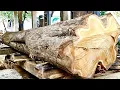 Lagu 🌲Shaking while Sawing this GIANT TEAK WOOD, What's Inside is WOW!!!🌲