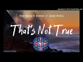 Skip Marley feat. Damian 'Jr. Gong' Marley - That's Not True 432 Hz