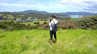 Cruisers Festival in Bay of Islands, NZ / Sailing Aquarius #50