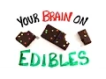 Your Brain On Edible Marijuana
