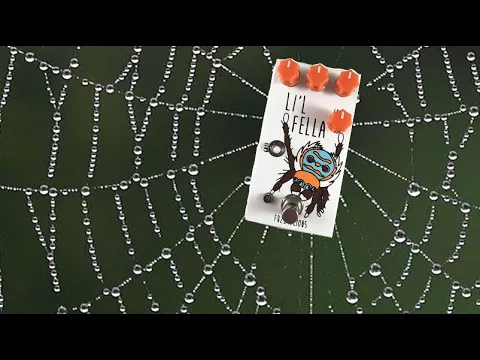 Fuzzrocious Lil Fella Overdrive/Distortion | Delicious Audio