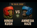 Download Lagu Hindu Kush vs Amnesia Haze Beyond the Indica Sativa Myth