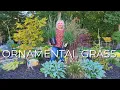 10 Perennial Grasses Ornamental Grass for your Garden Year Round Interest Low Maintenance Privacy