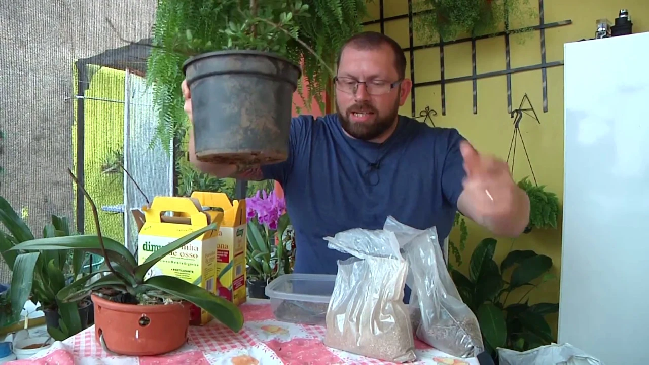O USO DE TORTA DE MAMONA E OSMOCOTE NAS ORQUÍDEAS