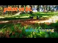 Download Lagu pikat vs bL saling serang, pikat  burung tekukur di kebun sawit