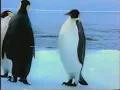 Instant Scratchies Chill Out Australian tv Advert
