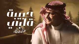 عبدالمجيد عبدالله   حبيبة قلبي  حصريا                              دندنها
