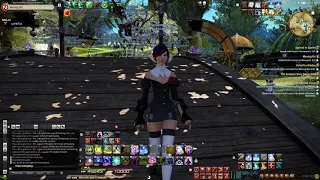 Physics in ff14 be like