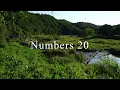 The Book of Numbers Chapter 20 - New King James Version NKJV