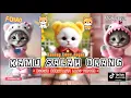 Download Lagu KAMU SALAH ORANG VERSI KUCING LUCU BANGET BARU