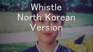 Download North Korean Pop Song \ MP3