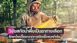 น้ำผึ้งมีคุณสมบัติอย่างไรที่ทำให้ถูกนำมาพิจารณาเป็นทางเลือกในการรักษาโรคติดเชื้อได้