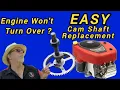 The Common Briggs Intek Problem Your Riding Mower Won t Start Broken Compression Release on Cam