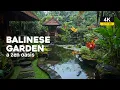 Download Lagu A Journey Through Balinese Gardens: Unveiling the Tropical Tranquility