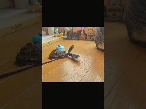 スケボーを使うかどうか、軍曹が決める