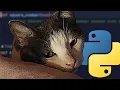 Python Programming Tutorial Late 2022 Part 2 39 minutes