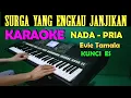 Download Lagu JANJI - Evie Tamala | KARAOKE Nada Cowok / Pria