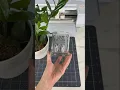 Glass Etching With The Cricut