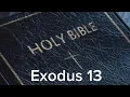 Exodus 13 NIV The Bible