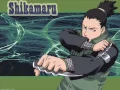 Download Lagu shikamaru theme