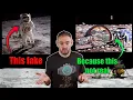 The strangest argument for the Moon landings being fake ...