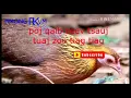 Download Lagu suab poj qaib seev tsauj zoo heev tuaj zoo kawg