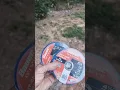 Blue Collar Trauma
