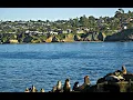 San Diego - Wikipedia