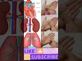 Download Lagu EXERCISE FOR STRONG LUNGS STRONG HEART STRONG KIDNEY WORKOUT AT HOME #Beauty with health #shorts