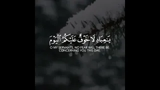 أجمل حالات واتس اب قرآن كريم بدون حقوق بصوت محمد صديق المنشاوي صوت خاشع يريح القلب 