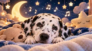 Soothing Dog Music 💤 Perfect for Bedtime & Naps