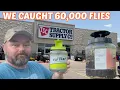 Watch This Before You Buy Tractor Supply Fly Traps With Keeping It Dutch