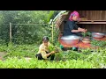 Download Lagu Single mother gardening,wrapping banh chung to sell to create daily income while Bong goes to school