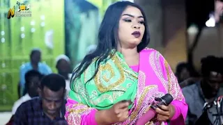 وجدان بحري عيدابي ودالغرب دندنها