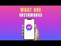 WHAT DO THE CHECKMARKS MEAN ON MESSENGER