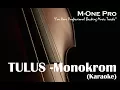 Download Lagu TULUS - MONOKROM (KARAOKE VERSION)