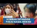 Download Lagu Sosok Majikan di Batam yang Jadi Tersangka Penganiayaan ART hingga Luka Serius dan Alami Trauma