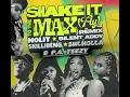 Lagu SHAKE IT TO THE MAX P.A. TEEZY REMIX