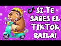 Download Lagu SI TE SABES EL TIKTOK BAILA! - 2025