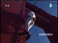 The Golden gate Bridge in San Francisco in 1996 Got charged for felony